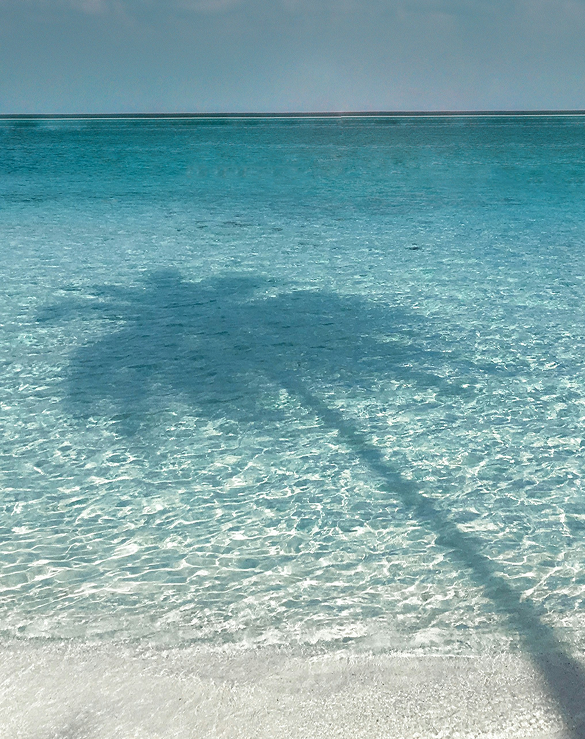 Clear Sands. Clear Skies