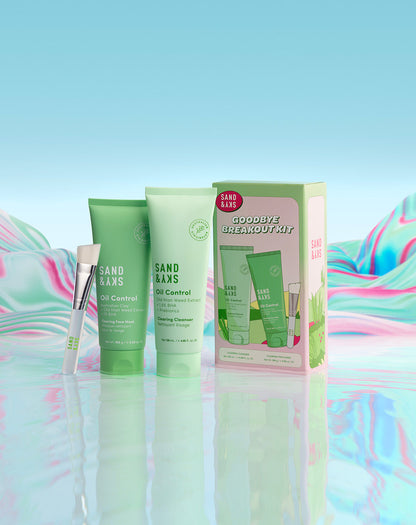 Goodbye Breakout Kit Holiday Set - product packaging details